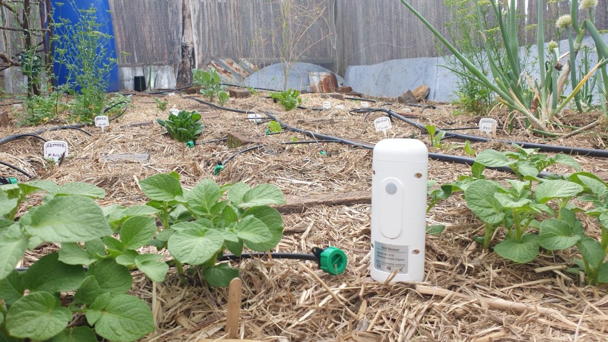 Image showcasing Building an epic off-grid A-frame cabin | Forest living & outdoor ... - MSN